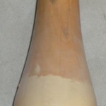 1a